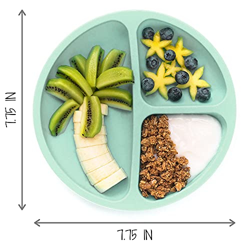 Hippypotamus Toddler Plates with Suction - Baby Plates - 100% Food-Grade Silicone Divided Plates - BPA Free - Dishwasher Safe - Set of 3 (Pink/Mint/Lavender) - Image 5