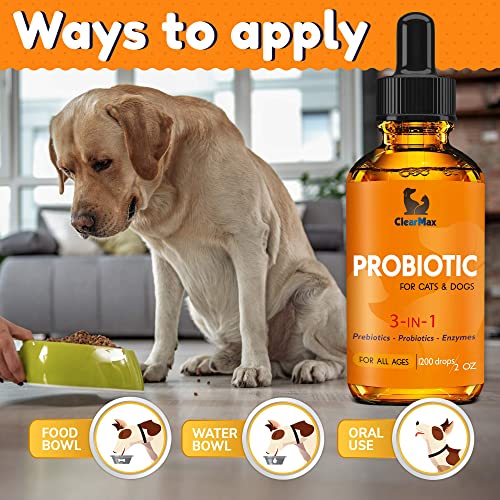 Probiotics for Dogs - Cat Probiotic - Great Dog Probiotics and Digestive Enzymes for Pet - Dog Digestive Enzymes & Natural Prebiotic - Canine Probiotic - Probiotics for Cats - Puppy Probiotic - Image 4