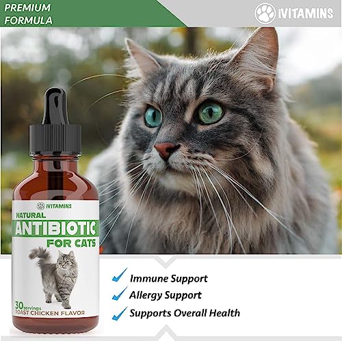 Natural Antibiotics for Cats | Cat Supplements | Cat Antibiotic | Cat Antibiotics | Cat Immune Support | Antibiotic for Cats | Cat Multivitamin | Multivitamin for Cats | 1 Pack: 30 Servings Total - Image 6