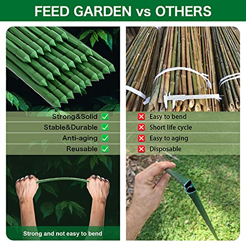 FEED GARDEN Garden Stakes 36 Inch 3ft 25 Pack, Sturdy Plant Metal Sticks Support, Plastic Coated Plant Stakes, Tomato Stakes, Beans, Trees - Image 3