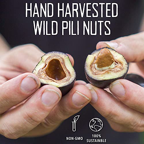 Pili Hunters - Wild Sprouted Pili Nuts, Traditional Fried Avocado Oil (5 oz Bag) Keto/Paleo/Vegan Snacks, Low Carb Energy, Gluten Free, Superfood, The Original As Seen on TV - Image 3